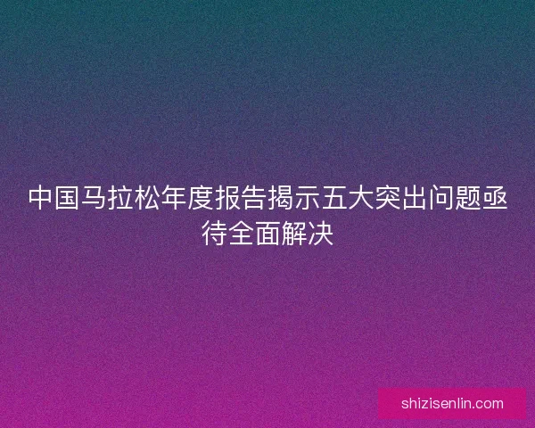 中国马拉松年度报告揭示五大突出问题亟待全面解决