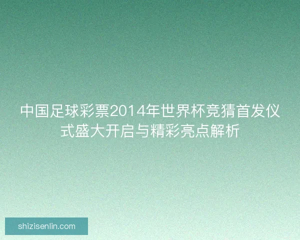 中国足球彩票2014年世界杯竞猜首发仪式盛大开启与精彩亮点解析
