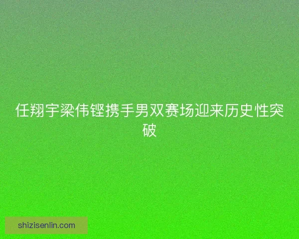 任翔宇梁伟铿携手男双赛场迎来历史性突破