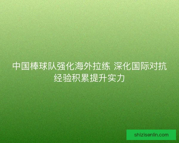 中国棒球队强化海外拉练 深化国际对抗经验积累提升实力